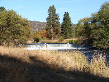 Weir